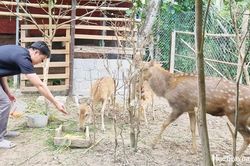 Tìm cách làm kinh tế hiệu quả