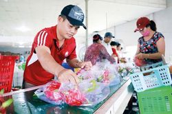 EU gia tăng c&aacute;c biện ph&aacute;p SPS, doanh nghiệp xuất khẩu cần chủ động th&iacute;ch ứng