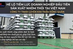 H&eacute; lộ tiềm lực doanh nghiệp đầu ti&ecirc;n sản xuất nh&ocirc;m thỏi tại Việt Nam