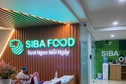 Hai quyết định xử phạt về thuế liên tiếp: Điều gì đang diễn ra tại Siba Group?