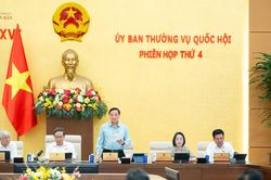 Ho&agrave;n thiện hệ thống tổ chức bộ m&aacute;y của Kiểm to&aacute;n Nh&agrave; nước