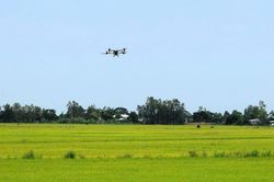 Khoa học c&ocirc;ng nghệ 'ươm' t&agrave;i sản tr&iacute; tuệ cho HTX tr&ecirc;n v&ugrave;ng đất &Oacute;c Eo
