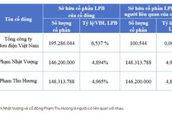 H&eacute; lộ nh&oacute;m cổ đ&ocirc;ng li&ecirc;n quan đến tỷ ph&uacute; Phạm Nhật Vượng nắm giữ gần 10% vốn tại LPBank