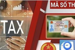 H&agrave; Nội mạnh tay thanh lọc hơn 150.000 doanh nghiệp 'mất t&iacute;ch' v&agrave; nợ nghĩa vụ thuế