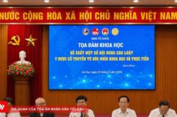 Ho&agrave;n thiện h&agrave;nh lang ph&aacute;p l&yacute; để ph&aacute;t huy gi&aacute; trị y dược cổ truyền Việt Nam