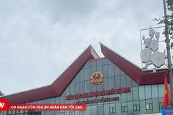 Lạng Sơn: Kim ngạch xuất nhập khẩu cuối tuần qua khởi sắc