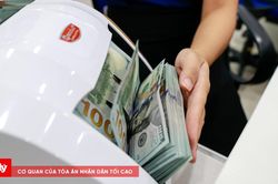 L&agrave;n s&oacute;ng gửi tiền tiết kiệm: Kỷ lục mới thiết lập khi hệ thống ng&acirc;n h&agrave;ng đ&oacute;n d&ograve;ng vốn lớn