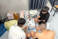 Khởi tố nhóm thanh niên tổ chức sử dụng ma túy trong quán bia
