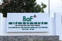 BaF Việt Nam (BAF) dự thu hơn 608 tỷ đồng qua đợt chào bán hơn 40,5 triệu cổ phiếu