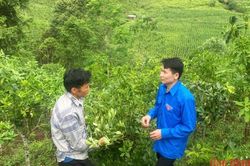 Đại đoàn kết - nguồn lực nội sinh cho sự phát triển bền vững của những bản làng có đạo - Bài cuối