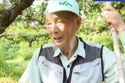 Lão nông bàng hoàng phát hiện hàng nghìn quả lê trị giá hàng trăm triệu đồng bỗng 'không cánh mà bay': Quyết định sau đó khiến nhiều người tiếc nuối