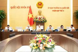 Xem x&eacute;t cơ chế, ch&iacute;nh s&aacute;ch đặc th&ugrave; x&acirc;y dựng khu đ&ocirc; thị lấn biển tại TP Đ&agrave; Nẵng