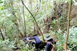 Những vuông đất in hình hài người lính