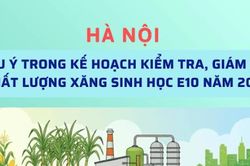 Những nội dung lưu &yacute; trong việc kiểm tra, gi&aacute;m s&aacute;t chất lượng xăng sinh học E10 tại H&agrave; Nội