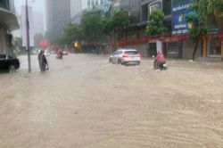 C&aacute;c tỉnh miền Bắc khẩn trương ứng ph&oacute; với mưa lớn, sạt lở