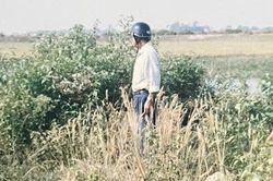 Gần 50 năm giữ lời hứa đưa đồng đội trở về (4): 'Mẹ ơi, con t&igrave;m được H&ograve;a rồi...'