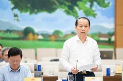 Bổ sung nhiều chế tài đối với người tham gia đấu giá tài sản để tránh bỏ cọc, 'cò mồi' trục lợi