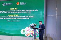Việt Nam tăng tốc chuyển đổi hệ thống lương thực - thực phẩm