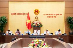 Tạo lập khu&ocirc;n khổ ph&aacute;p l&yacute; ổn định, đột ph&aacute; v&agrave; khả thi th&uacute;c đẩy ph&aacute;t triển TP.HCM, đ&ocirc; thị đặc biệt