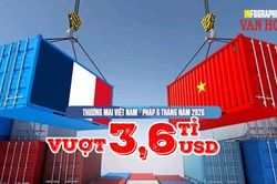 Thương mại Việt Nam - Pháp 6 tháng năm 2026 vượt 3,6 tỉ USD