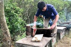 Xây dựng thương hiệu sản phẩm ngành ong