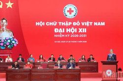 Công tác nhân đạo phải trở thành một bộ phận của chiến lược phát triển con người, bảo đảm an sinh xã hội