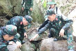 Đà Nẵng phấn đấu hoàn thành lấy mẫu hài cốt liệt sĩ trong tháng 9/2026