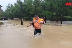 [Video] Mưa lớn xuyên đêm, nhiều nhà ở Bảo Lộc ngập sâu hơn 1 mét