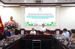 Tập trung thực hiện hiệu quả nhiệm vụ hoàn thiện thể chế, thực thi pháp luật