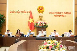 Đô thị đặc biệt được đề xuất trao thẩm quyền rộng hơn về xây dựng thể chế