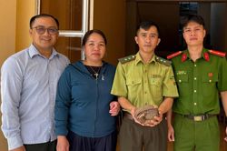 Cứu hộ cá thể tê tê Java