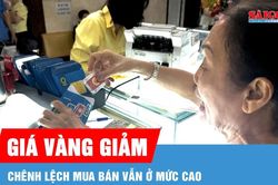 Gi&aacute; v&agrave;ng trong nước đồng loạt giảm
