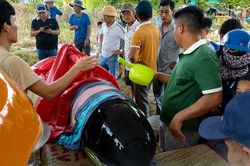 Phát hiện cá voi nặng 300kg dạt vào bờ biển ở Quảng Ngãi