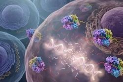 Phát hiện loại enzyme tiêu diệt DNA tế bào ung thư
