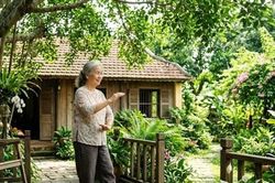 Sống dưới bóng cây xanh giúp người già giảm nguy cơ trầm cảm