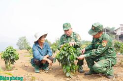 N&ocirc;ng nghiệp xanh-hướng đi tạo đột ph&aacute; cho Điện Bi&ecirc;n