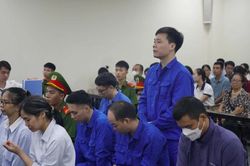 Cựu cán bộ 'bắn tin' cho doanh nghiệp đối phó cơ quan điều tra được đề nghị án treo