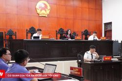 Lĩnh 4 năm tù vì tàng trữ gần 4 gam ma túy