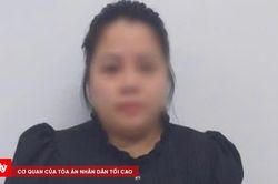 Lừa đảo góp vốn, chiếm đoạt hơn 10 tỷ đồng