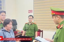 Khởi tố đối tượng sử dụng giấy tờ giả để chiếm đoạt 11 tỷ đồng