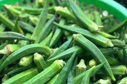 Luộc đậu bắp bao l&acirc;u th&igrave; ch&iacute;n? C&aacute;ch luộc đậu bắp xanh, gi&ograve;n, kh&ocirc;ng bị nhớt