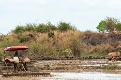 Nâng cao năng lực tiếp cận thông tin, năng lực số cho các hợp tác xã ở Đắk Lắk