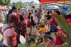 Nhộn nhịp chợ phiên cuối tuần ở thủ đô La Habana