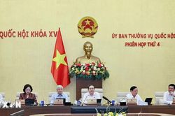 Ủy ban Thường vụ Quốc hội cho ý kiến về dự án Luật Phát triển đô thị