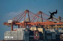 Làn sóng AI đưa kim ngạch xuất khẩu công nghệ của Mexico vượt ôtô