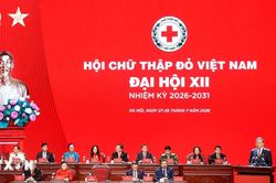 Chỉ đạo của Tổng Bí thư, Chủ tịch nước Tô Lâm: 'Kim chỉ nam' cho công tác nhân đạo giai đoạn mới