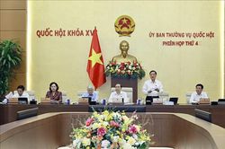 Ủy ban Thường vụ Quốc hội cho ý kiến về dự án Luật Phát triển đô thị