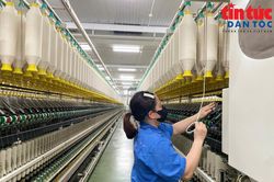 Tăng cường truy xuất nguồn gốc, minh bạch chuỗi cung ứng trước yêu cầu mới của thị trường Hoa Kỳ