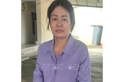 Khởi tố đối tượng lừa đảo chiếm đoạt tiền làm chứng chỉ tiếng Anh B2