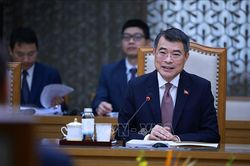 Thủ tướng L&ecirc; Minh Hưng tiếp Trưởng đại diện Quỹ Tiền tệ quốc tế tại Việt Nam